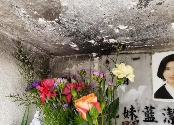 蓝洁瑛墓碑被熏黑受损网友走了你们还不放过她