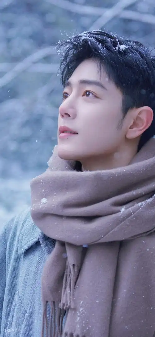 肖战##肖战抖落雪花怼脸视频