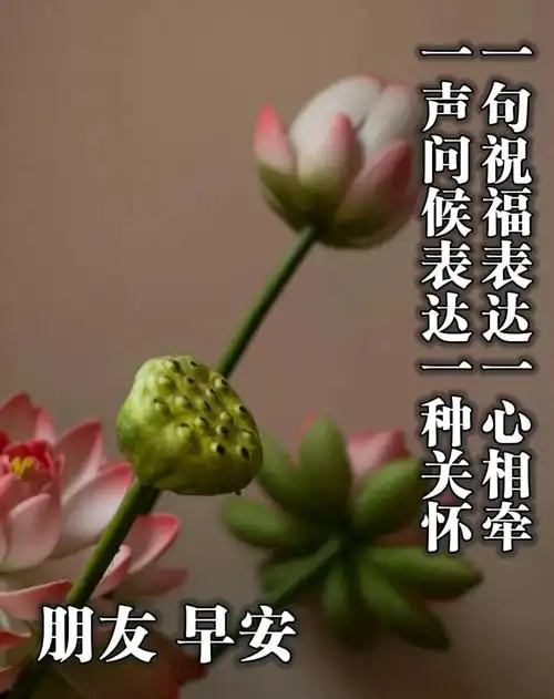 2021年最新最全清新漂亮早安图片带字 免打字的朋友圈早上好问候祝福