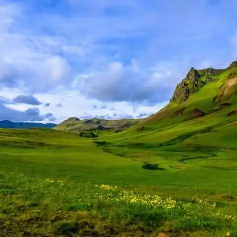 森林草原高清微信头像 微信头像图片大全 -【爱个性】