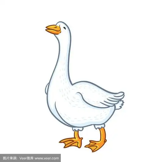 孤立在白色背景上的白鹅.卡通有趣的鹅