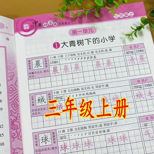 练习3年级上学期硬笔书法训练笔画结构拼音组词近义词形近字钢笔字帖
