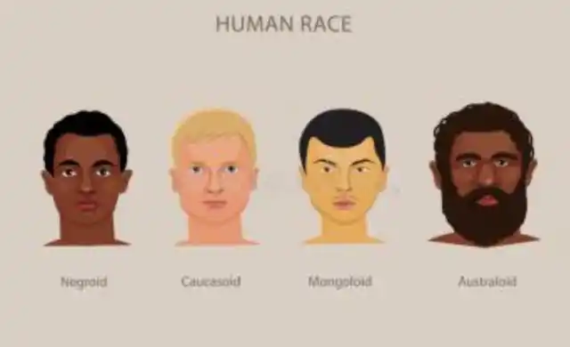 四大人种