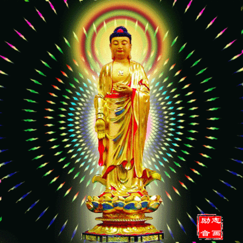 750_750gif 动态图 动图