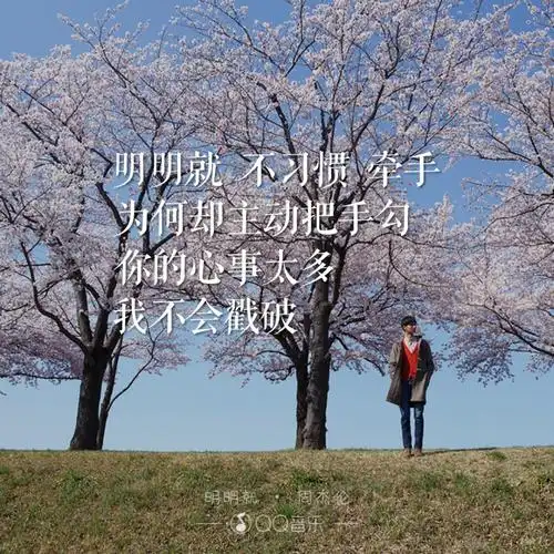 周杰伦明明就qq音乐歌词海报