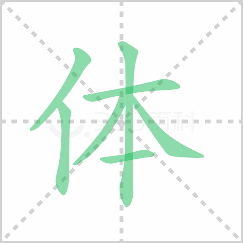 体的笔顺书写演示以上关于体组词有哪些及体的笔顺笔画顺序怎么写就