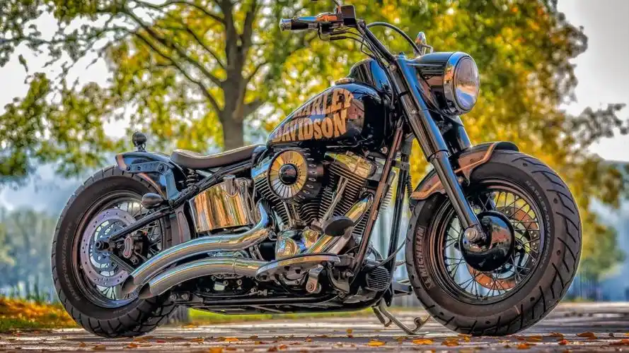 最酷的摩托车图片大全1014