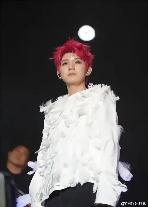 抖有纯路人发的王源音乐节生图