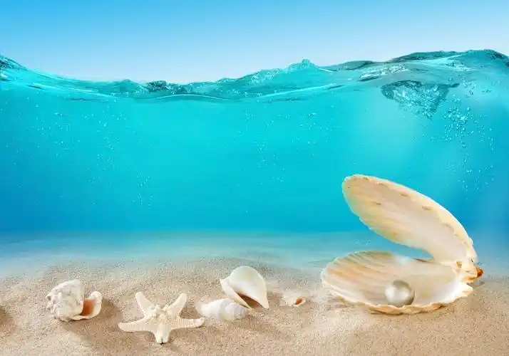 水下的珍珠贝壳