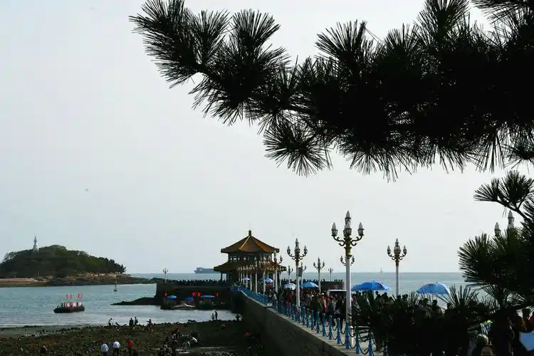 山东游# 青岛栈桥