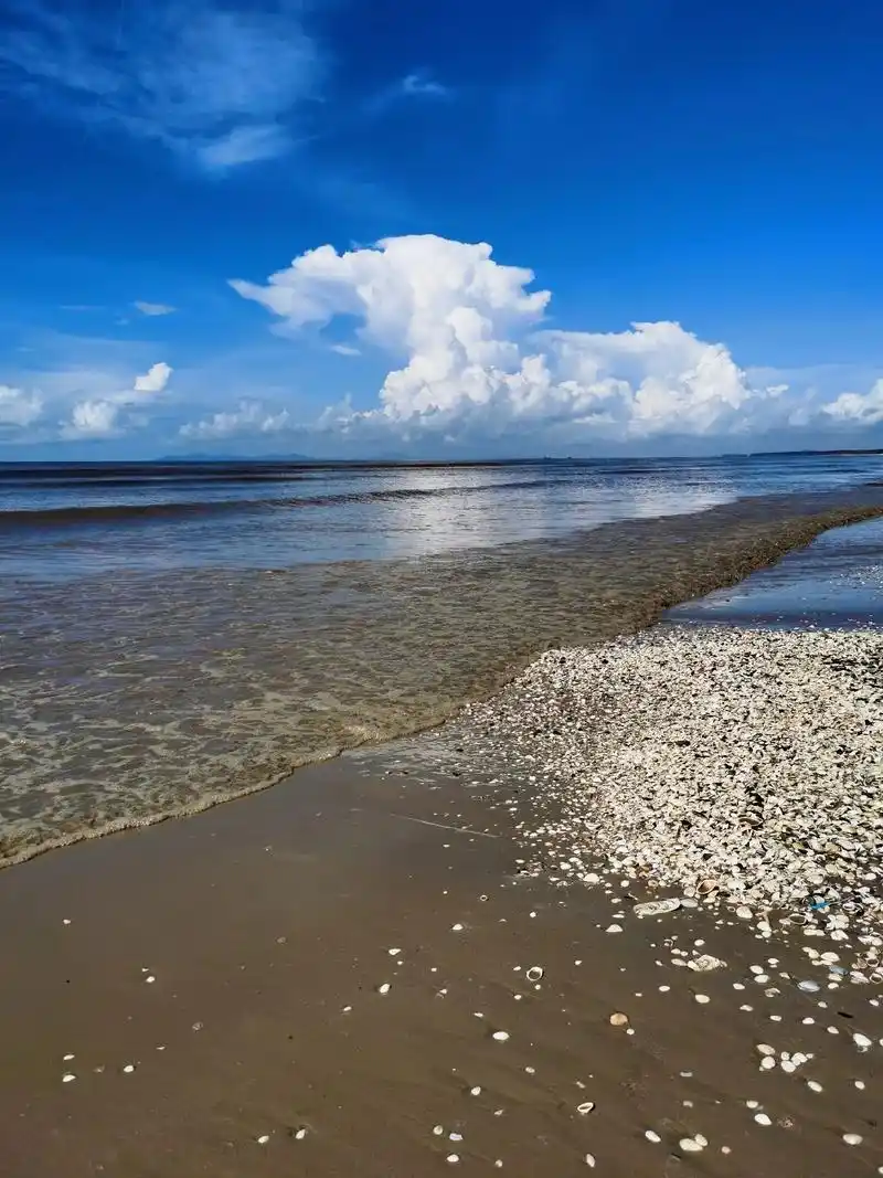 与阳光海滩玩游戏～抓住假期的尾巴,享受一下夏未的快乐～ 今天 - 抖