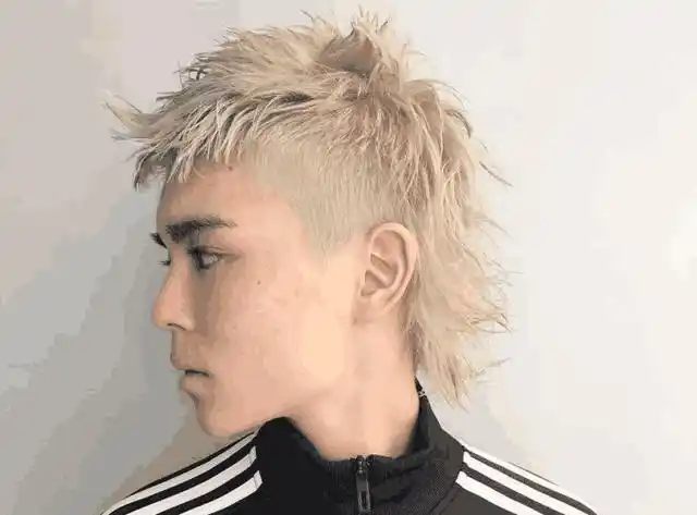 吴亦凡的发型是什么鱼头(鲻鱼头发型吴亦凡好看)(14)