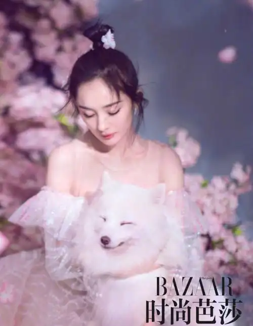 时尚芭莎杨幂淘宝_杨幂时尚芭莎照片