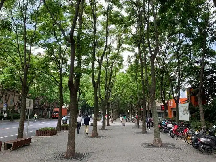 齐子林(摄于2020年5月7日上午)昌平路,康定路街景诉上海老底子情叙