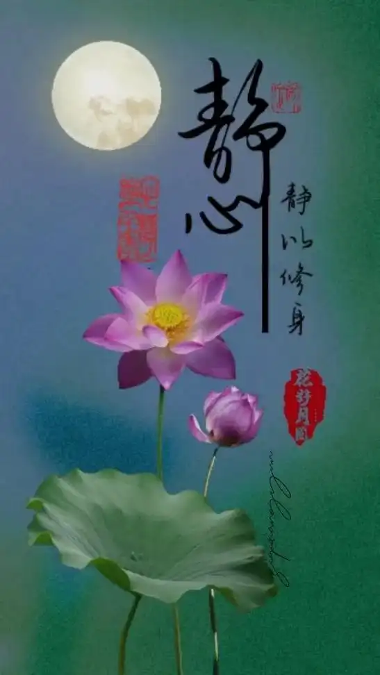 静,不是耳边无声,而是内心无争 #荷花 #手机壁纸 #抖音图 - 抖音