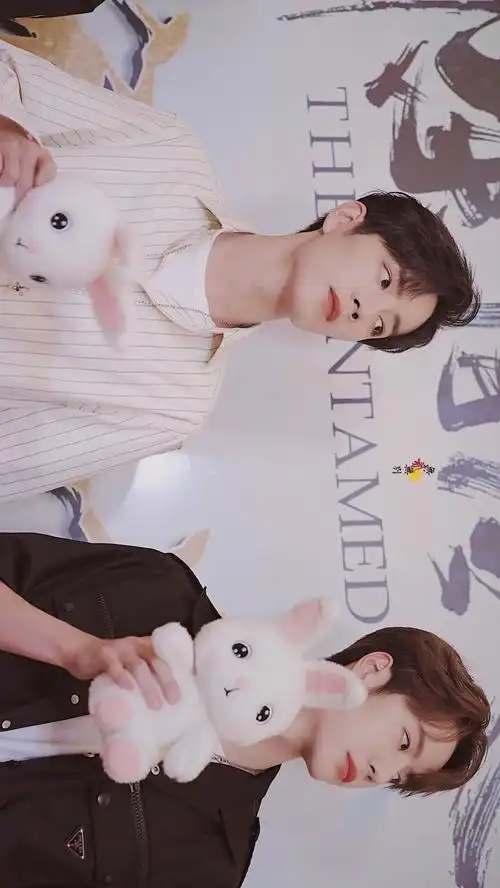 肖战王一博壁纸