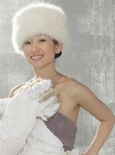 资料图片舞林大会明星阵容秦海璐