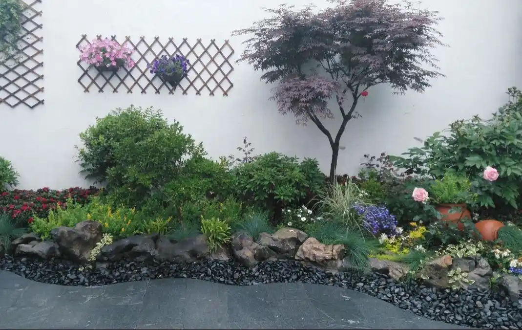 「干货」春和花香意随缘,庭院花池养护技巧