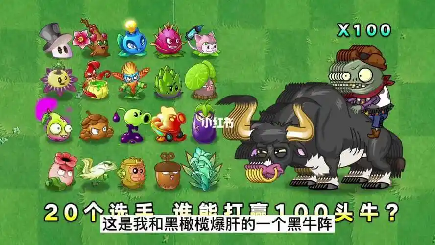 植物大战僵尸哪些植物的大招能击败黑牛