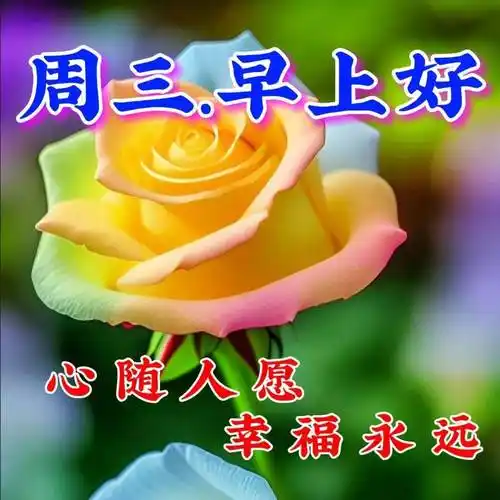 8月2日周三早上好,祝福语图片带字问候语_生活_心情_阳光