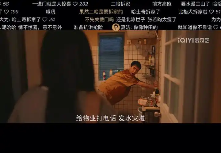 夏洁哈士奇拆家啦