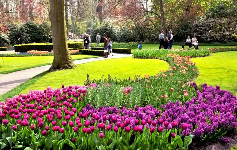 最美的春天,在荷兰库肯霍夫花园!