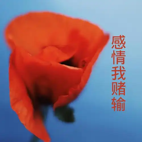 感情我赌输虽然不能一起走