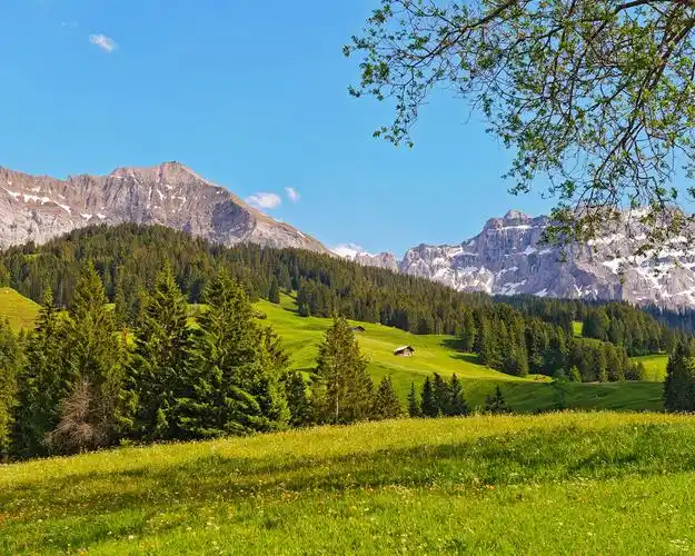 瑞士的风景,高山,草原,森林,树木 壁纸 - 1280x1024