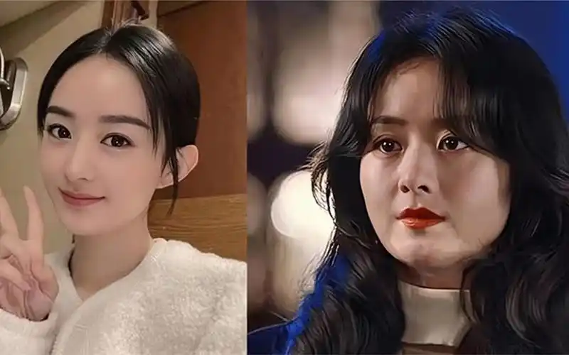 赵丽颖新剧胖若两人,从巴掌小脸变成包子脸,网友:真认不出来