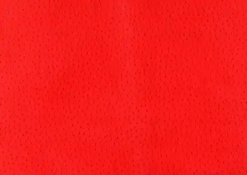 (观众参与)让世界变得更加热闹吧!