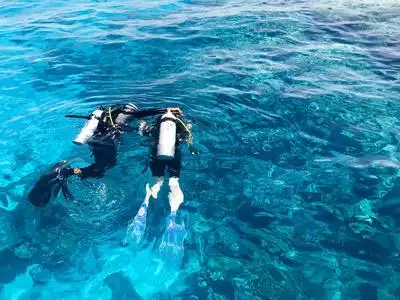 两名潜水员穿着黑色水肺潜水服,一名男子和一名女子带着氧气瓶在一个