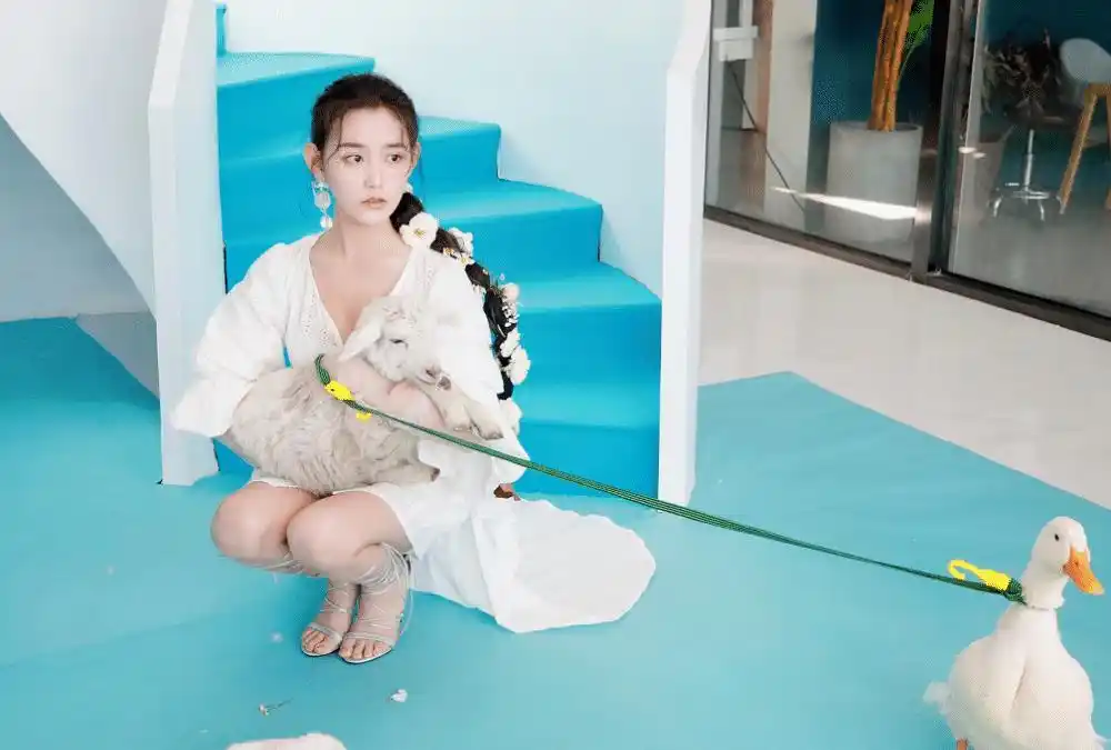 蒋依依抱着小羊蹲在地上拍照镜头无意中扫到鞋跟红是有原因的