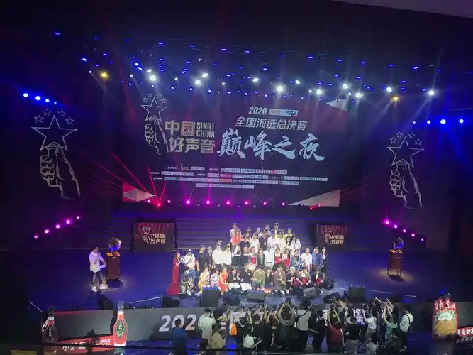 2020中国好声音全国海选总决赛