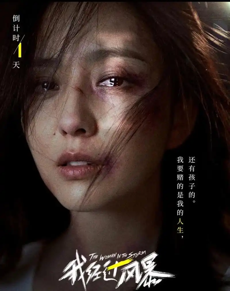 我经历过风暴 #电影我经过风暴 #家暴零 - 抖音