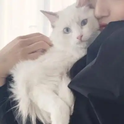 抱猫真人情头 ks诉凂_情侣头像_我要个性网