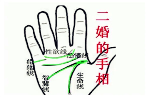二婚线女人的手相图解(一个人有没有二婚命看哪里)