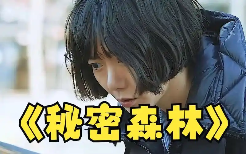 一口气看完:秘密森林