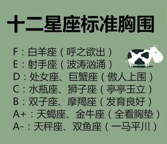 十二星座标准胸围赶快看看你达标了吗