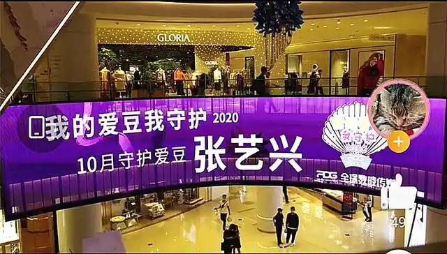 张艺兴粉丝应援