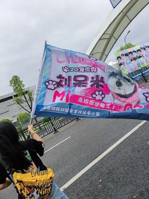 呆米这排面杠杠的,经纪人又要被艳压了吧    @摩登兄弟刘宇宁