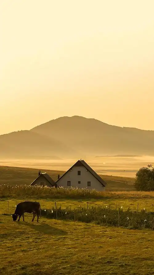 清新唯美田园风景图片手机壁纸