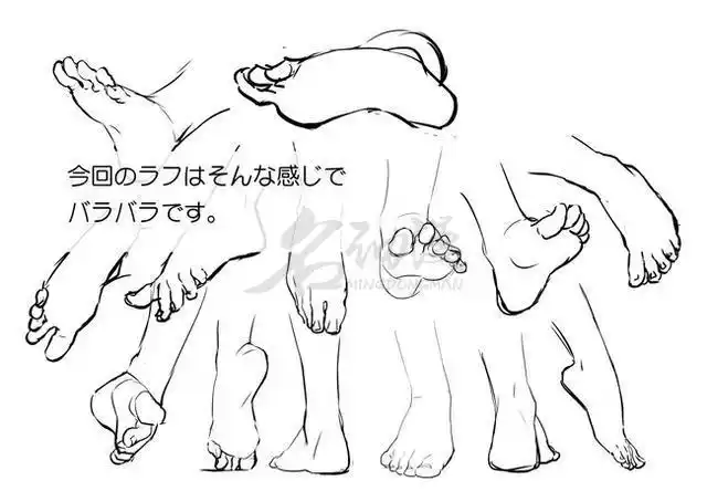 初学者怎么画脚脚的详细结构画法