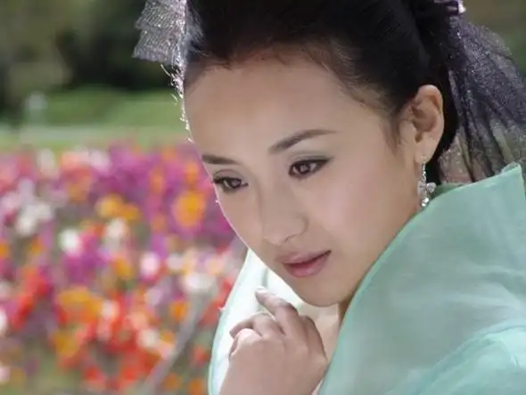 善良多情的公孙绿萼,楚楚可怜的完颜萍,豪爽和气的耶律燕都钟情杨过