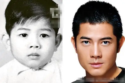 刘德华【稳重型】