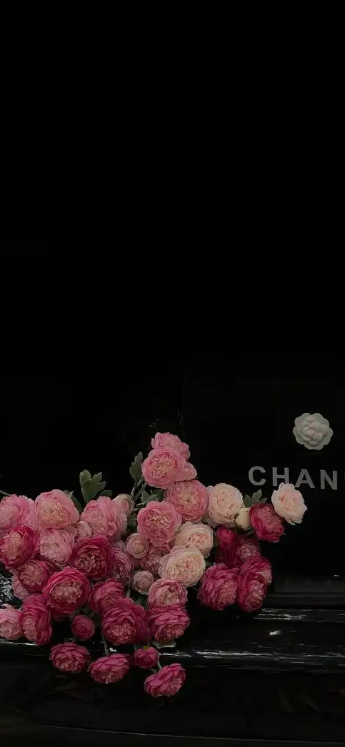 壁纸 花 桌面 690_1493 竖版 竖屏 手机