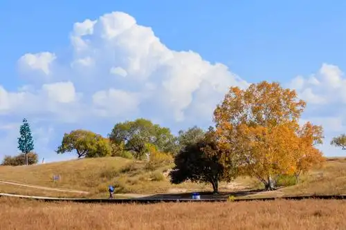 最美秋天乌兰布统草原