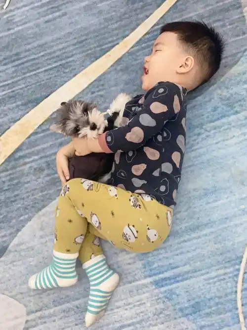 我儿子把狗当孩子养