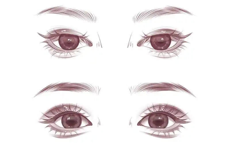 procreate眼睛线稿练习,快推给不会画眼睛的宝贝们啦
