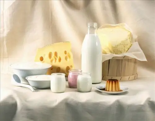 乳制品
