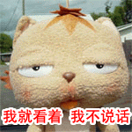 只是,各位看官,别只看热闹,静下心来还是学习一下人家这骂人的技巧吧.